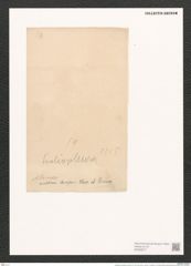 Scoliopleura antillarum (Cleve et Gr.) Pell. (de-Toni-Nr.: Genus 14, Species 1115) Zeichnungen Sammlung Grunow (NHMW-BOT-W0369277)